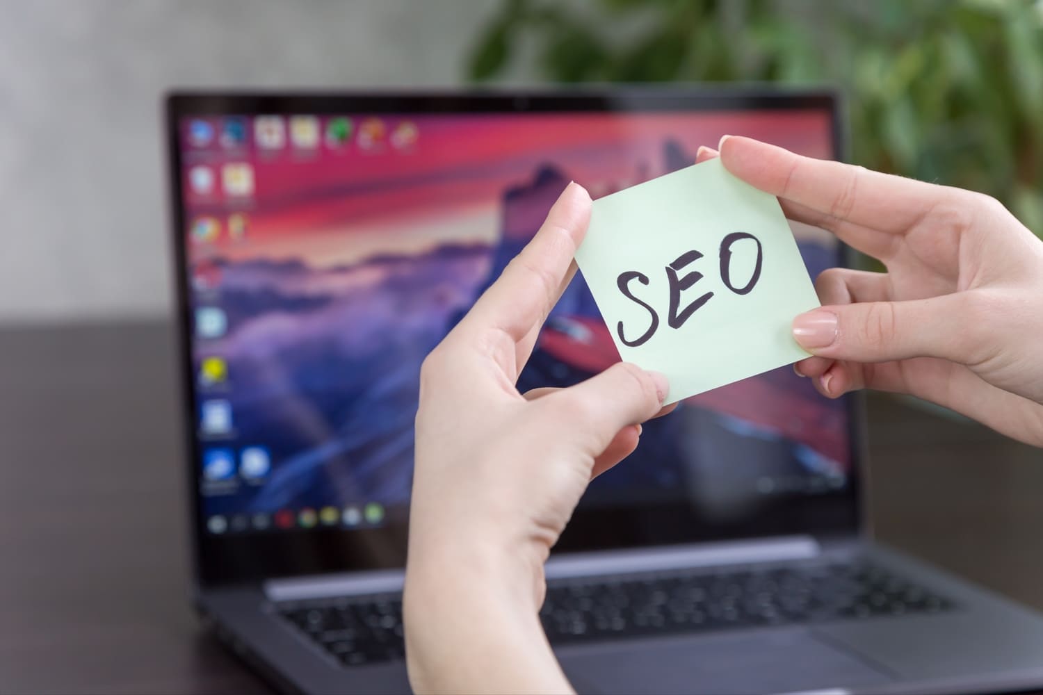 SEO Agentur Uri